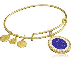 Alex and Ani Aquarius Constellation Bracelet